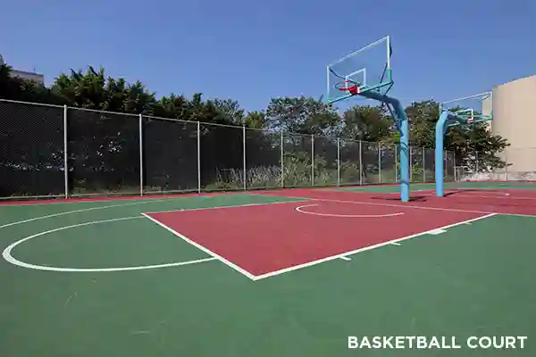 Basketball Court